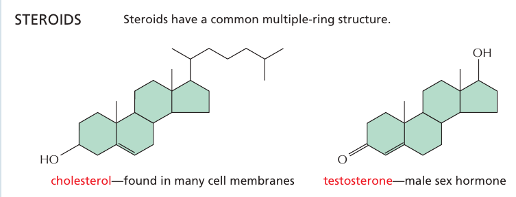 steroid
